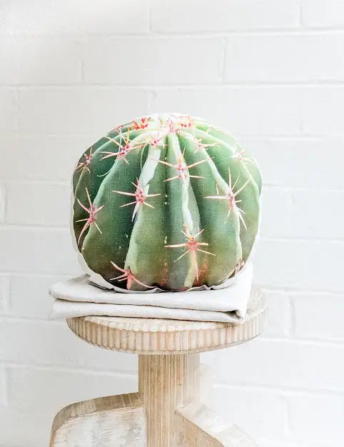 Barrel Cactus Linen Throw Pillow