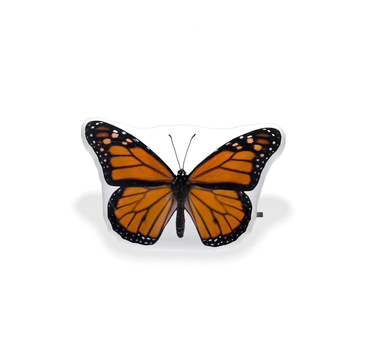 Monarch Butterfly Velvet Pillow